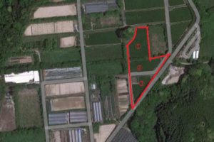 農地　千々賀　整備済南向き畑