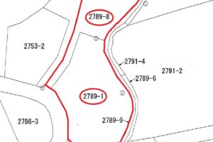 浜崎の土地（鏡山中腹付近）