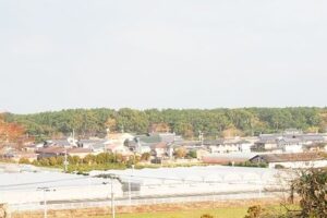 浜崎の土地（鏡山中腹付近）