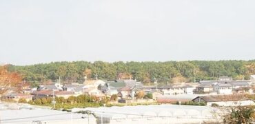 浜崎の土地（鏡山中腹付近）