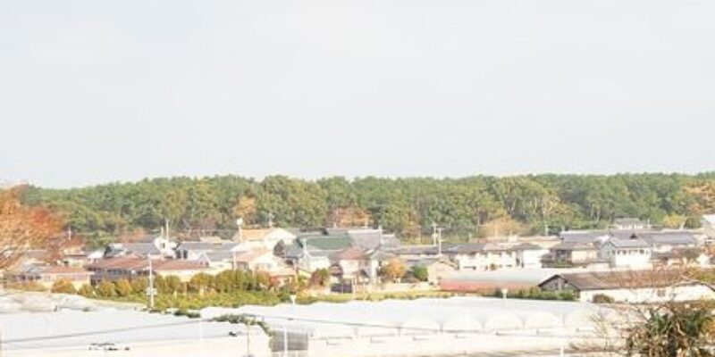 浜崎の土地（鏡山中腹付近）